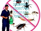 القضاء علي الحشرات والزواحف والقوارض